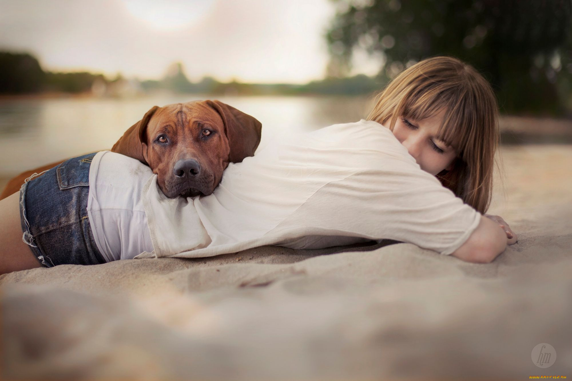 Woman 3 dog. Фотосессия с собакой. Девушка с собакой. Девушка с собакой картинки. Собака лежит на человеке.